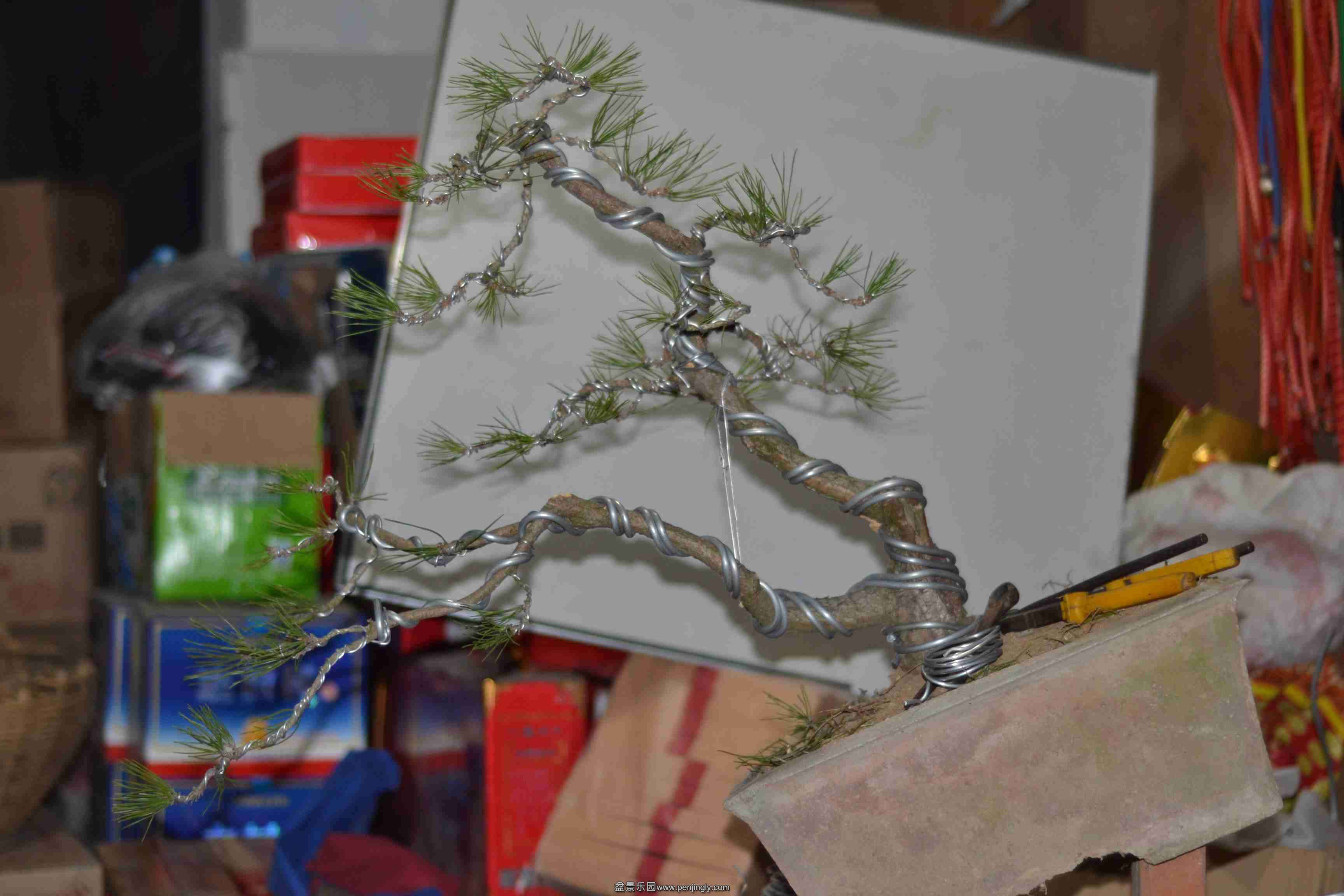 2013-12-28 006.jpg