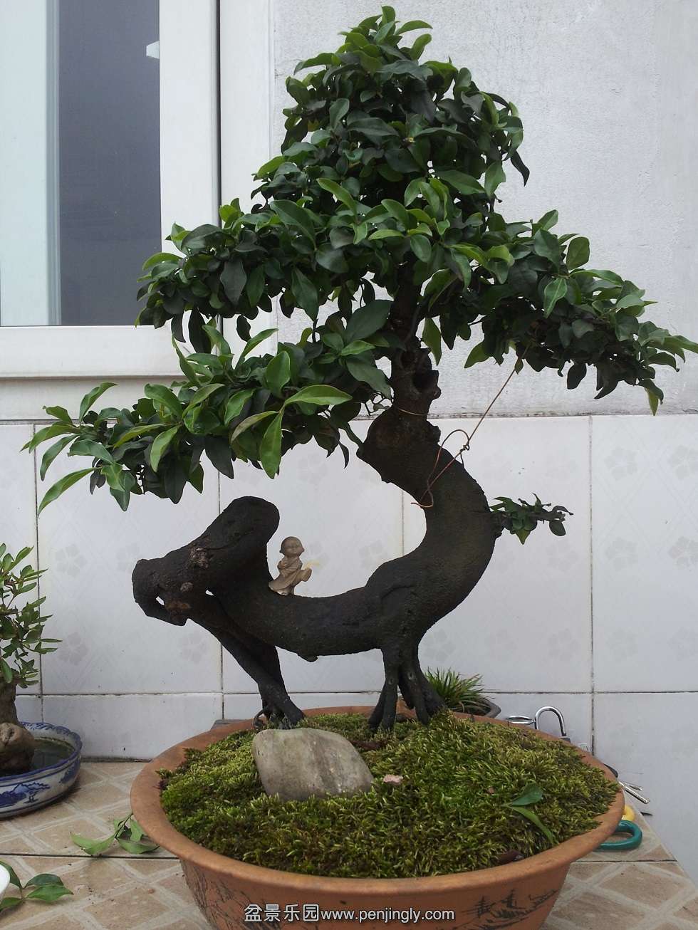20120501_171331.jpg