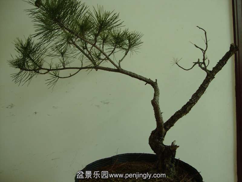 DSC01926_.jpg
