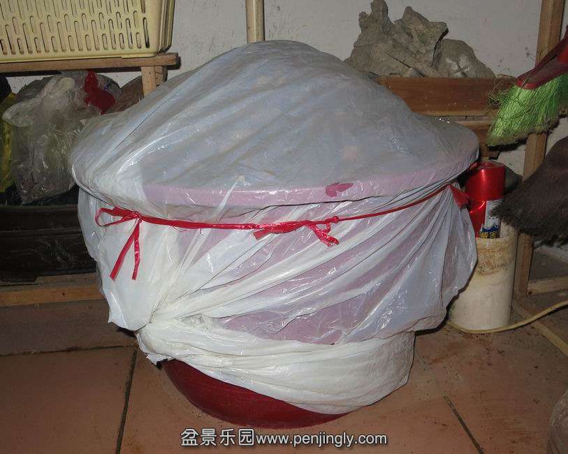 77.jpg