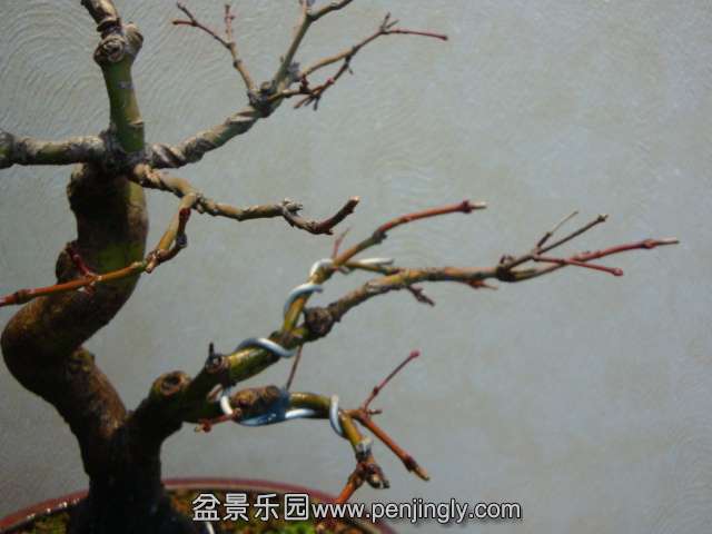 DSC06532.JPG