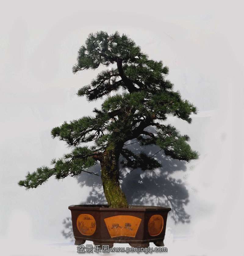0017.jpg