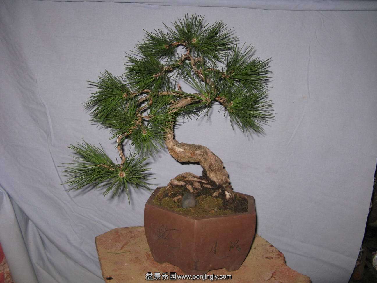 Ƭ 004.jpg