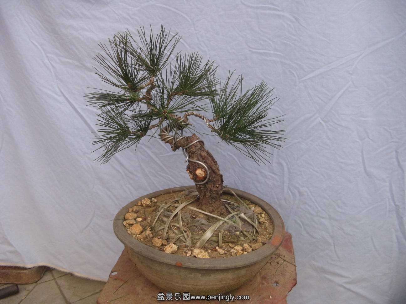 Ƭ 010.jpg