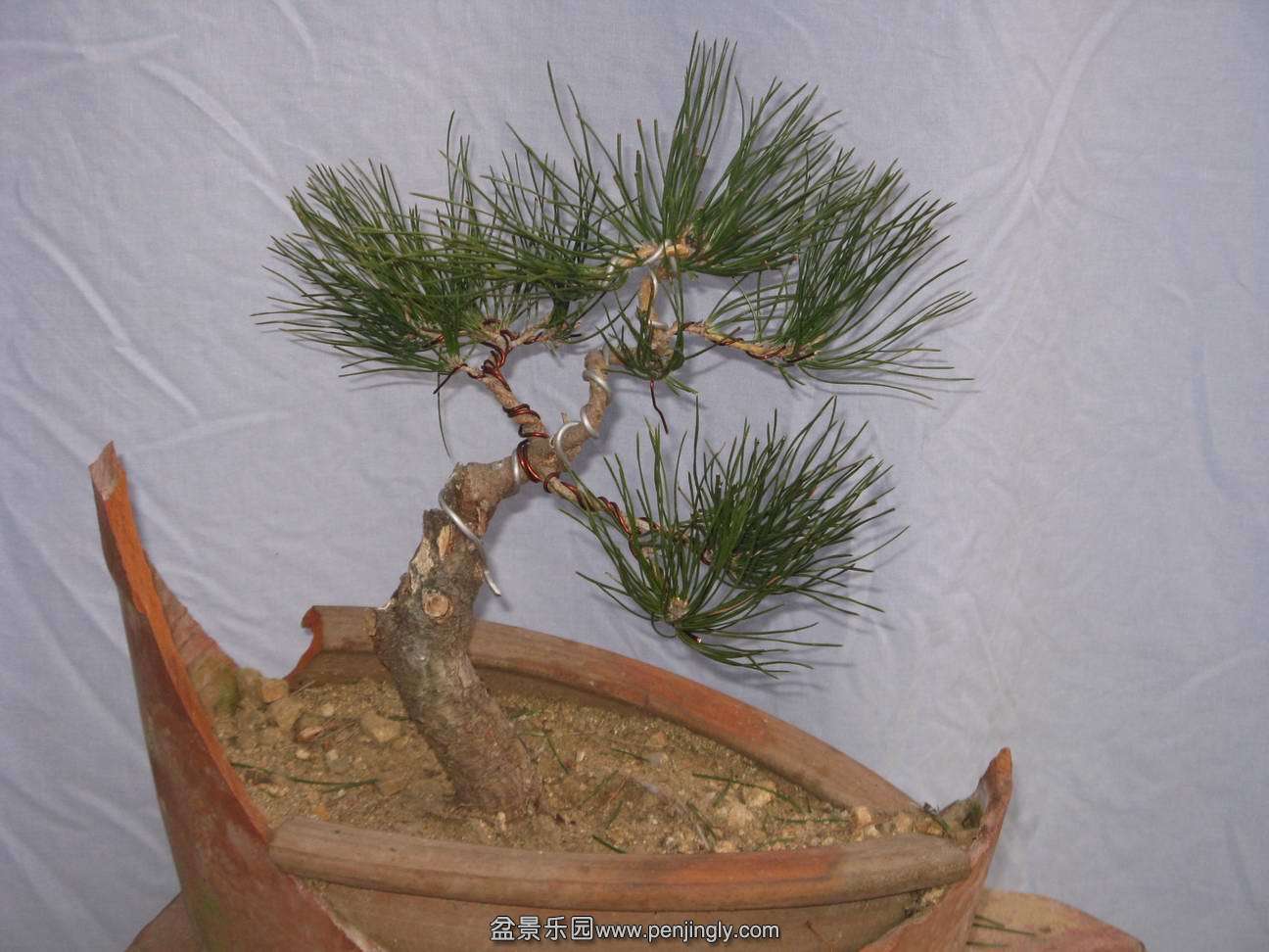 Ƭ 015.jpg