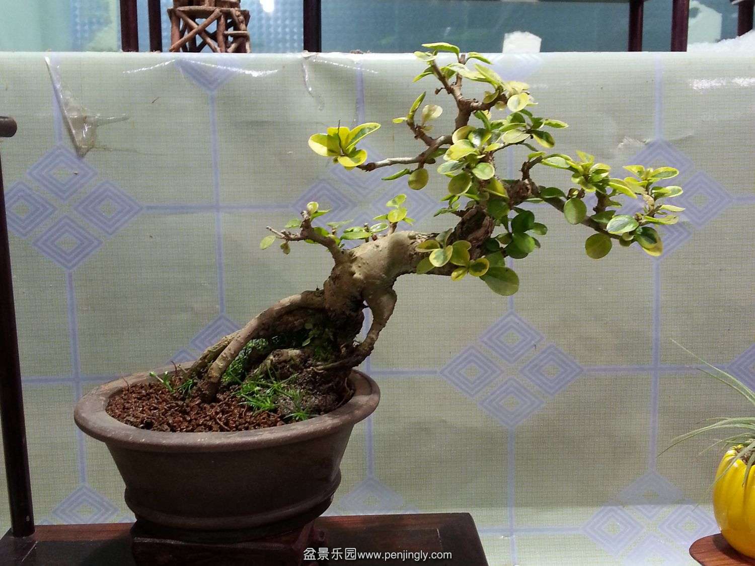 20140101_154720.jpg