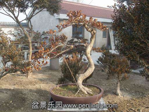 155.jpg