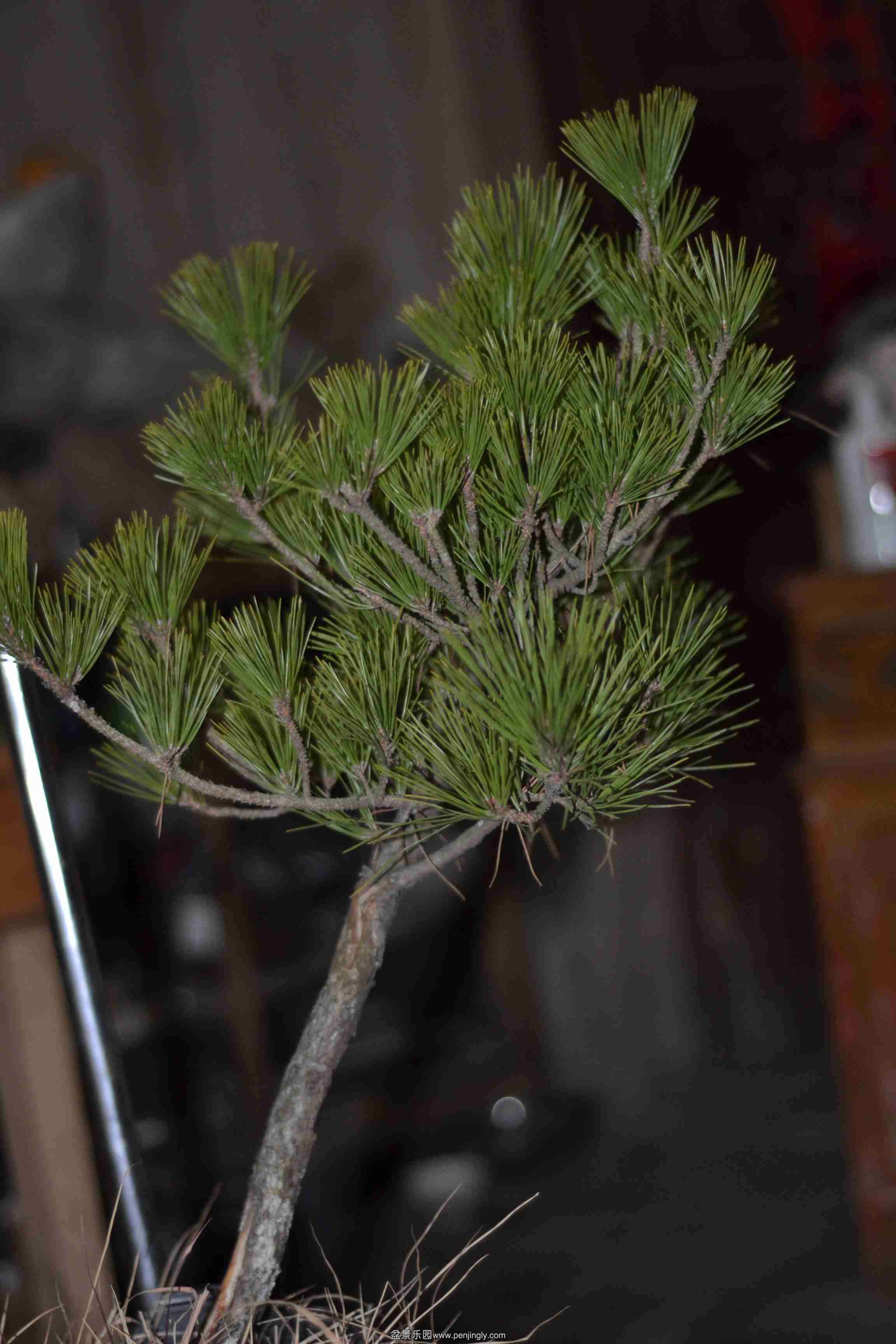 2014-01-02 010.jpg