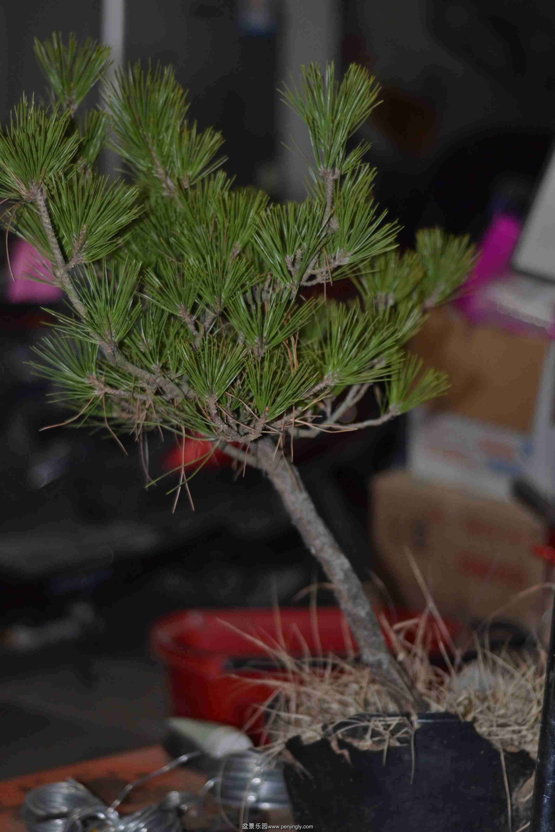 2014-01-02 011.jpg