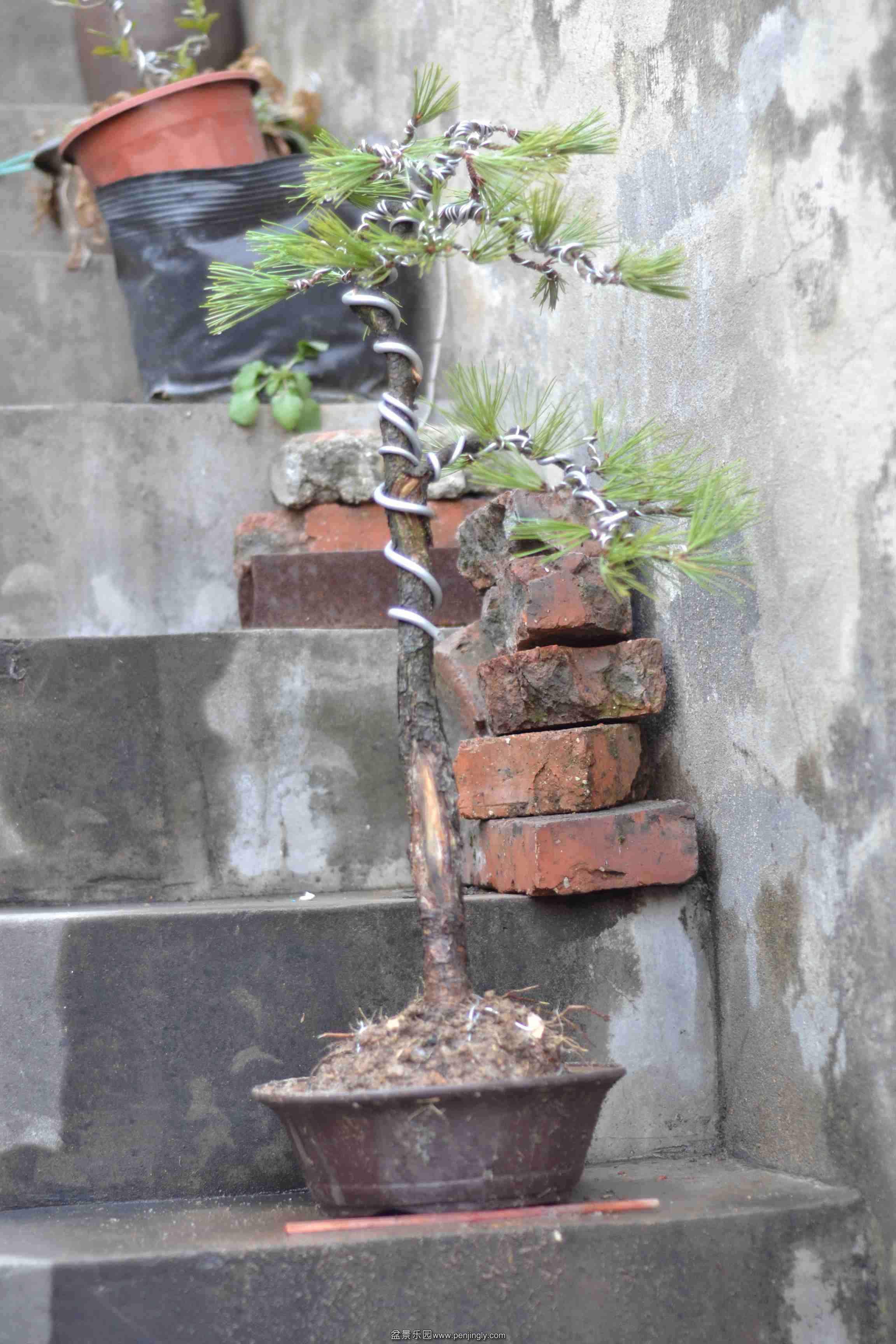2014-01-02 012.jpg