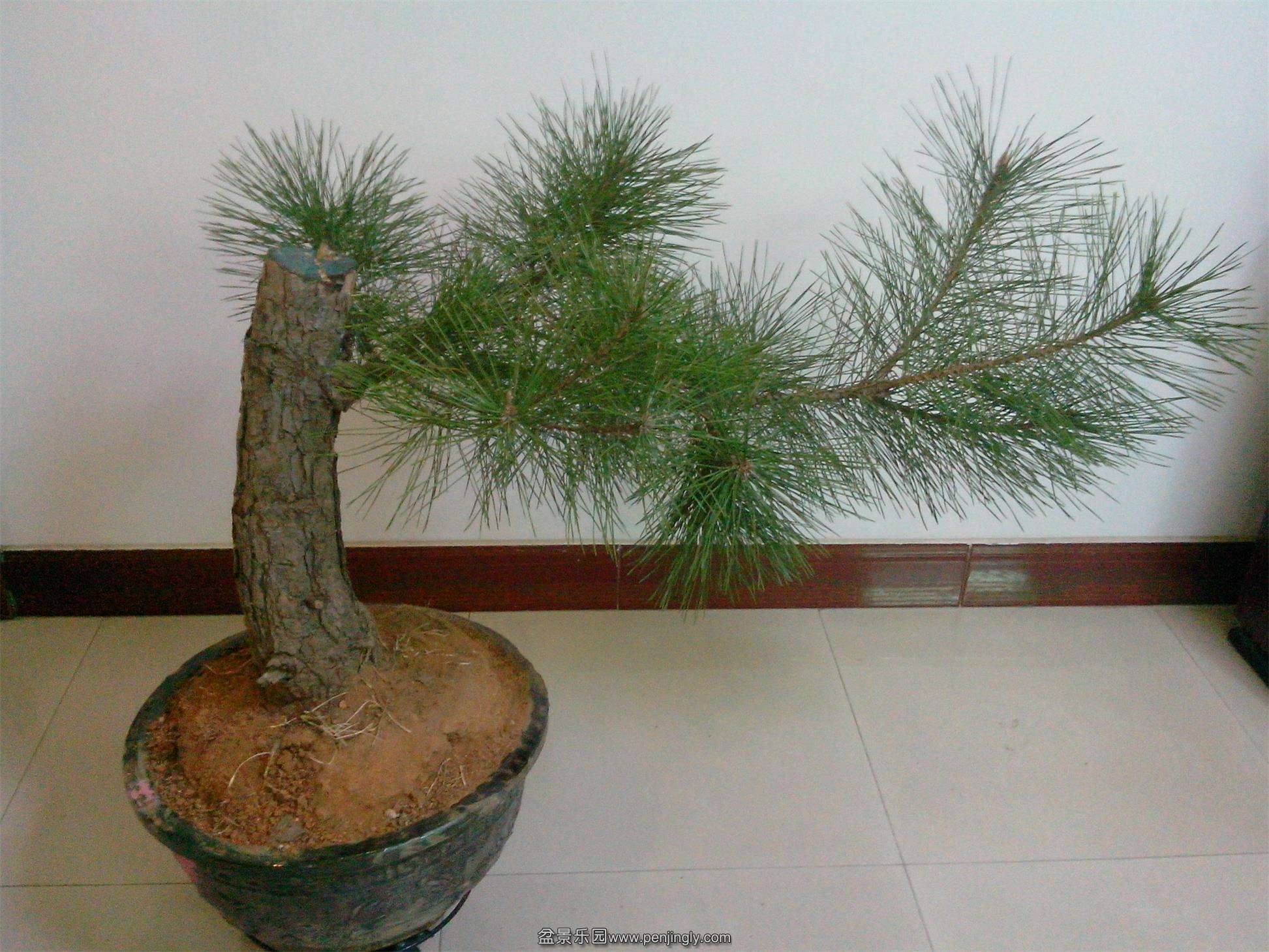 IMG20140103002.jpg