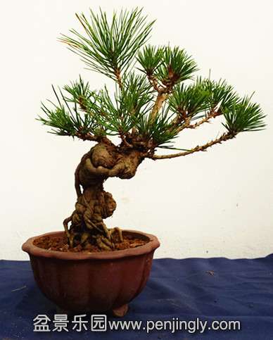 20140104_105342.jpg