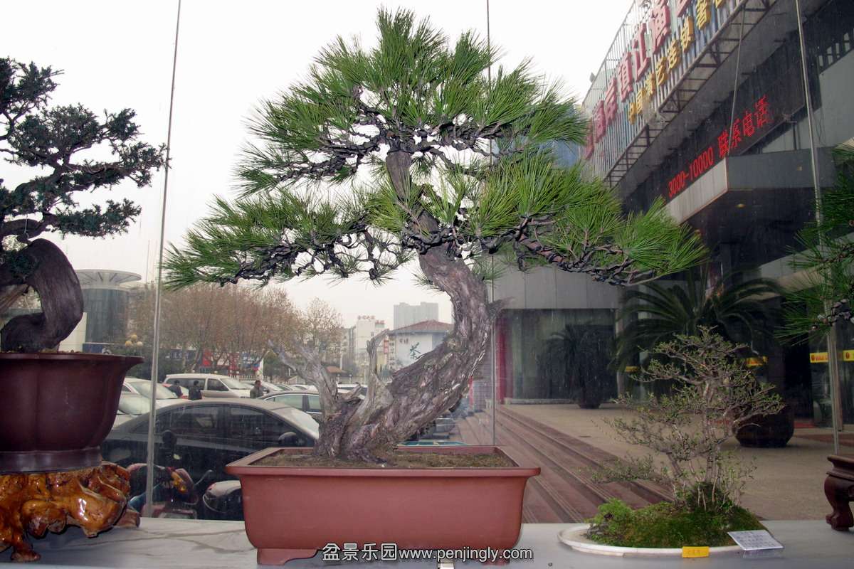 18.JPG