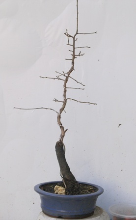 201312311876.jpg