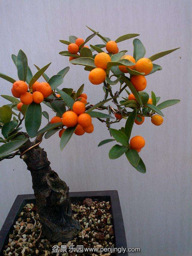 IMG0106103201.jpg