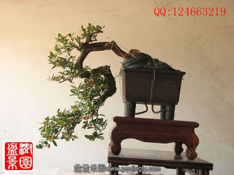 IMG_0370_.jpg