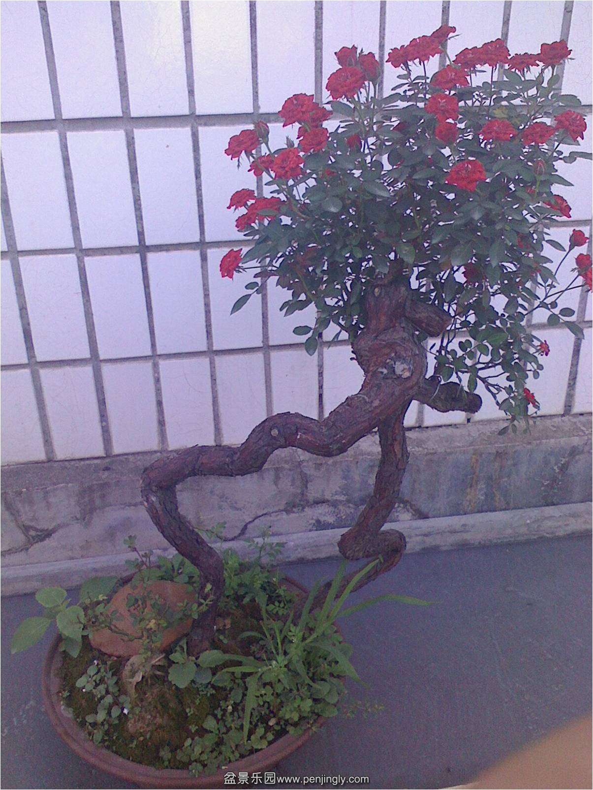 ͼƬ2.jpg