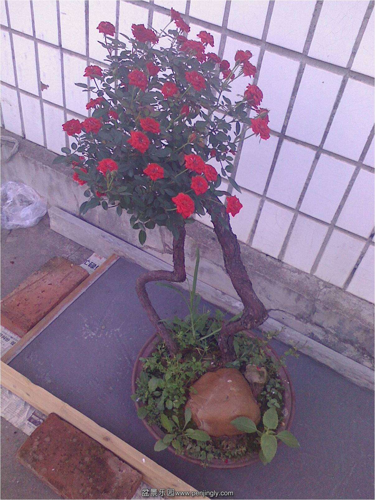 ͼƬ3.jpg