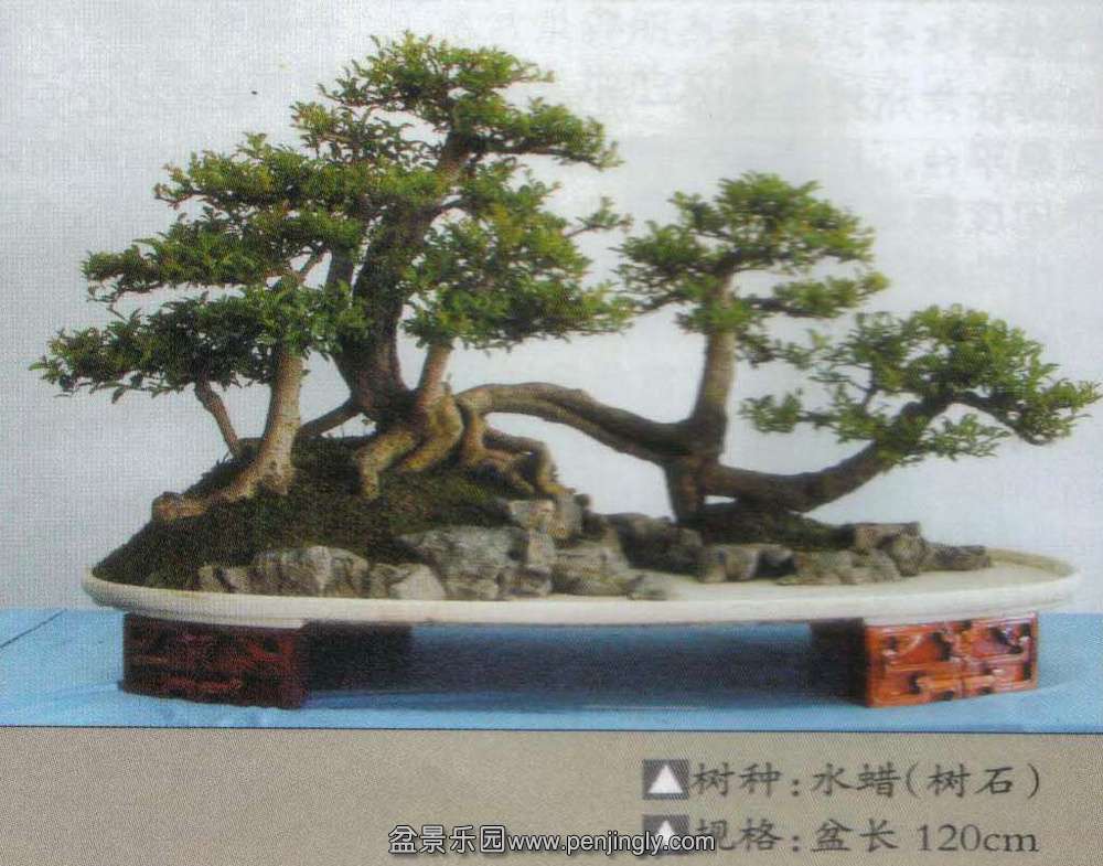Ϸ辰չ-ˮ ʯ.jpg