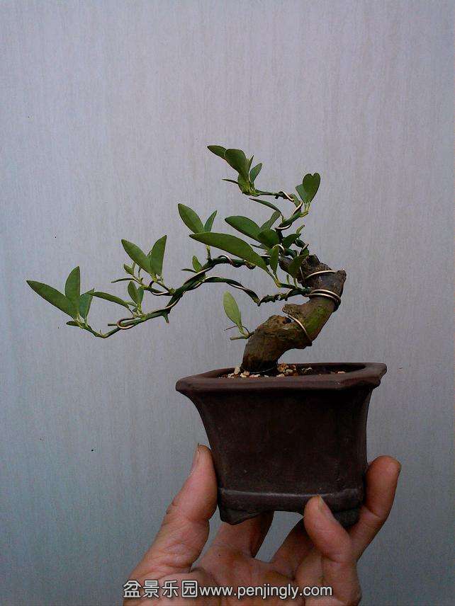 IMG0109140300.jpg