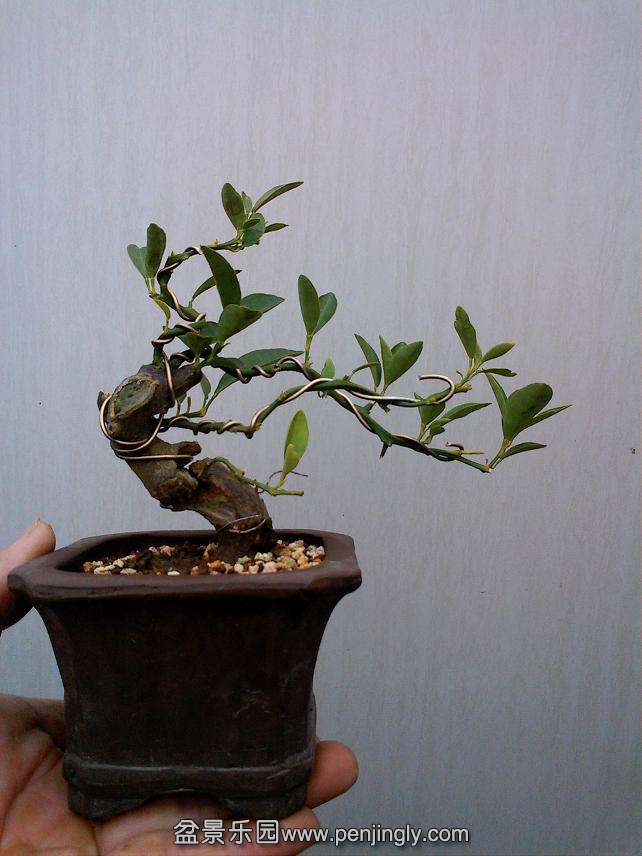 IMG0109140200.jpg