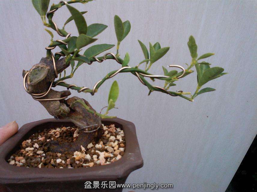IMG0109140400.jpg