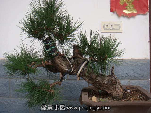 DSC07785.JPG