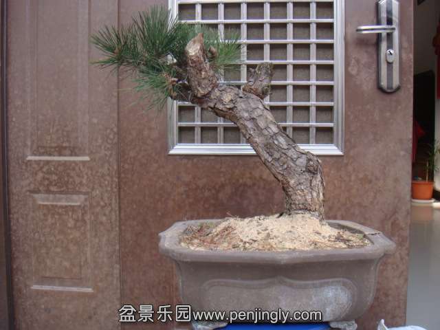 DSC09208.JPG