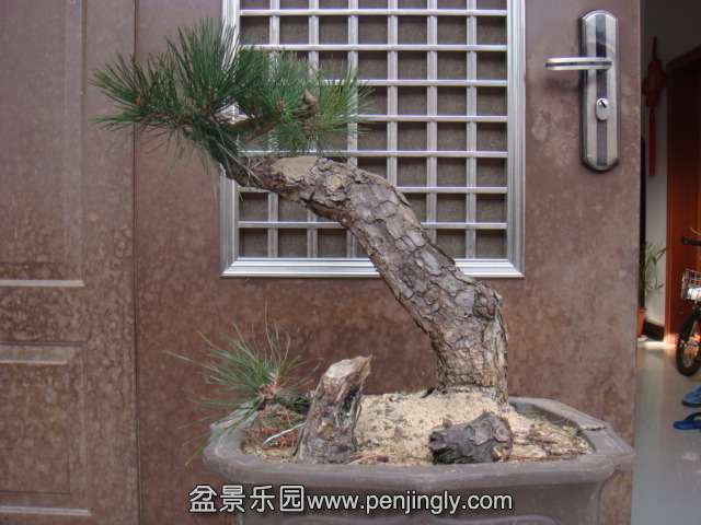 DSC09209.JPG