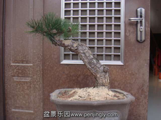 DSC09210.JPG