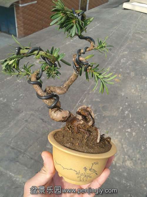 2014-01-09 13.06.36.jpg