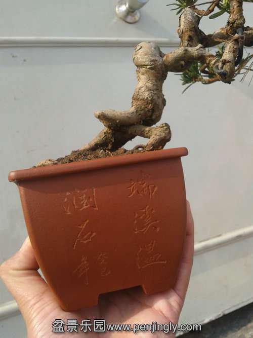 2014-01-09 13.17.55.jpg