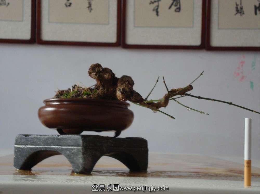 QQͼƬ20140110152546.jpg