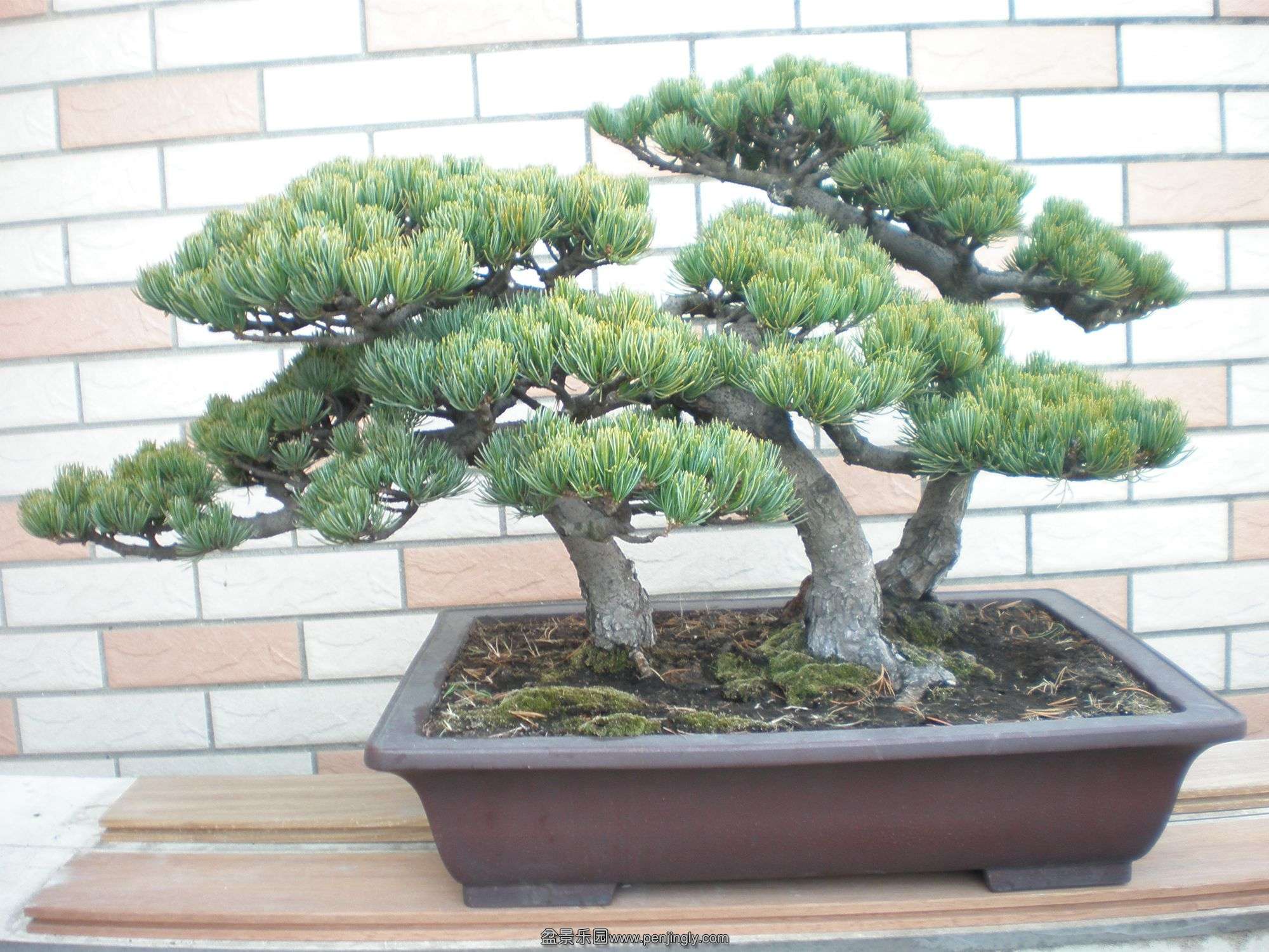 P1010060_.jpg