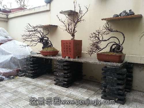 20140111_142159.jpg