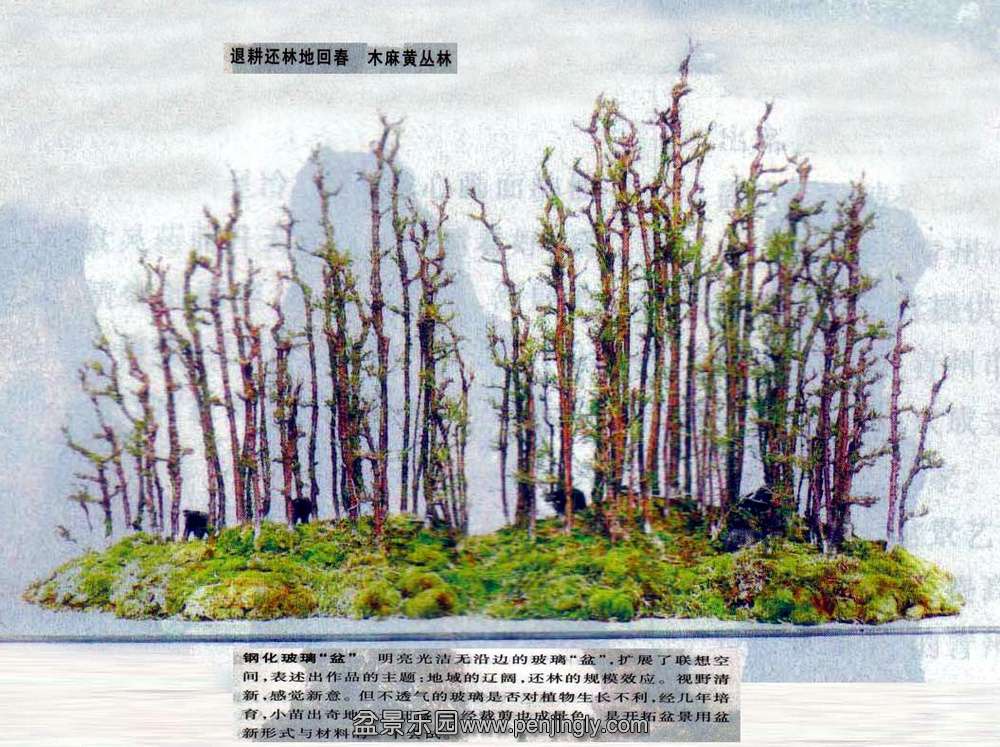 ѧ--ľƴ-06-12.jpg