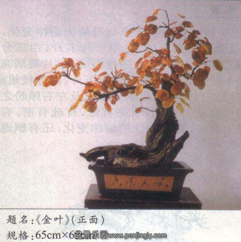 º-ӡľ03-2 .jpg