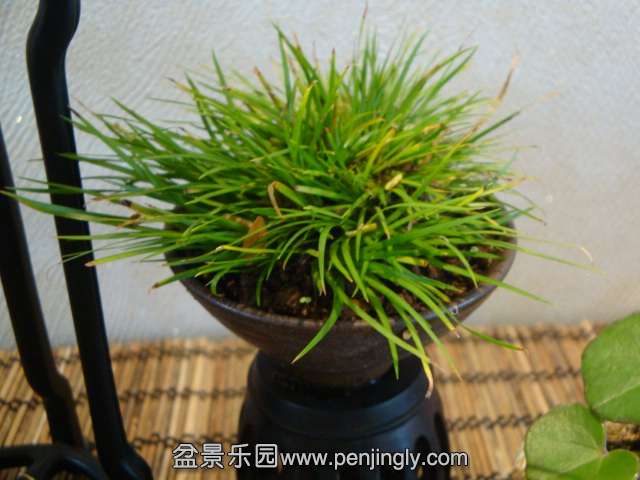 DSC06772.JPG