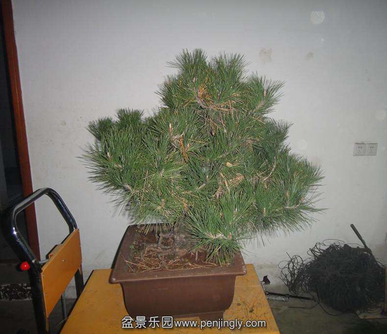 DSC03807_.jpg