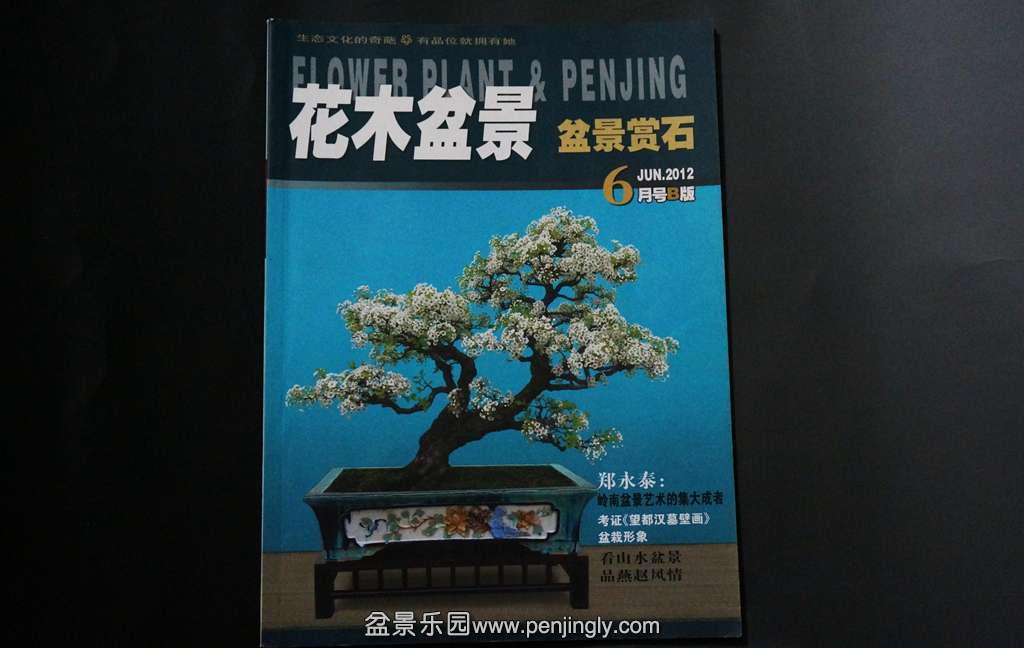 DSC01100.JPG