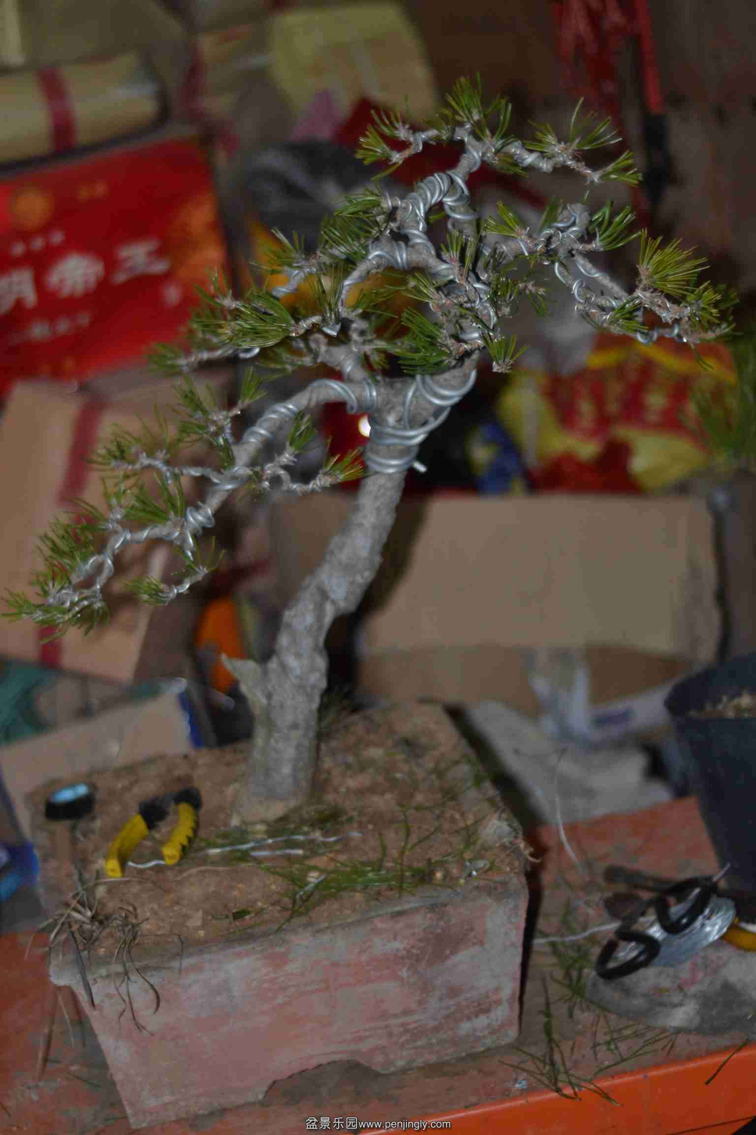 2014-01-13 003.jpg