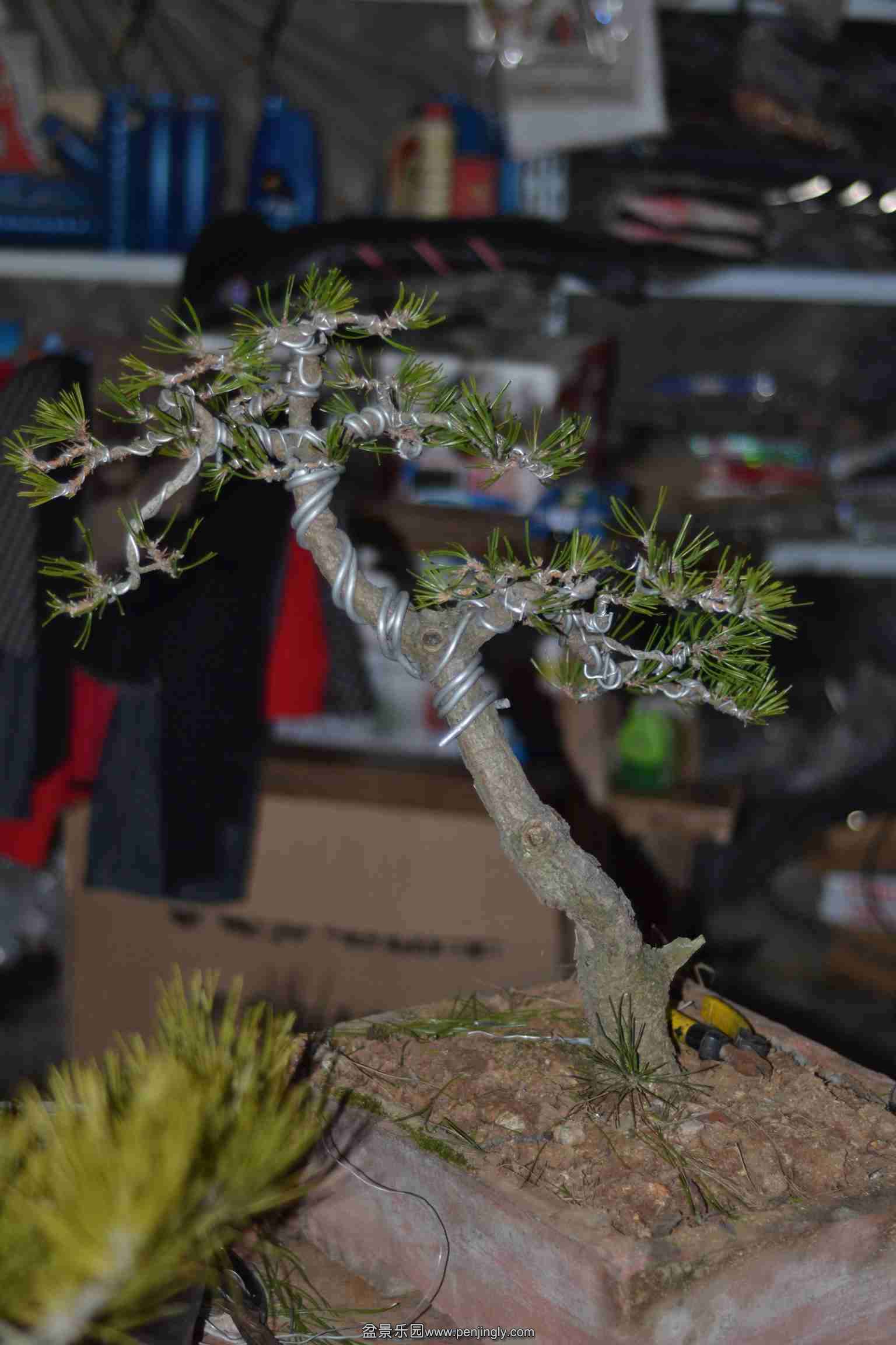 2014-01-13 005.jpg