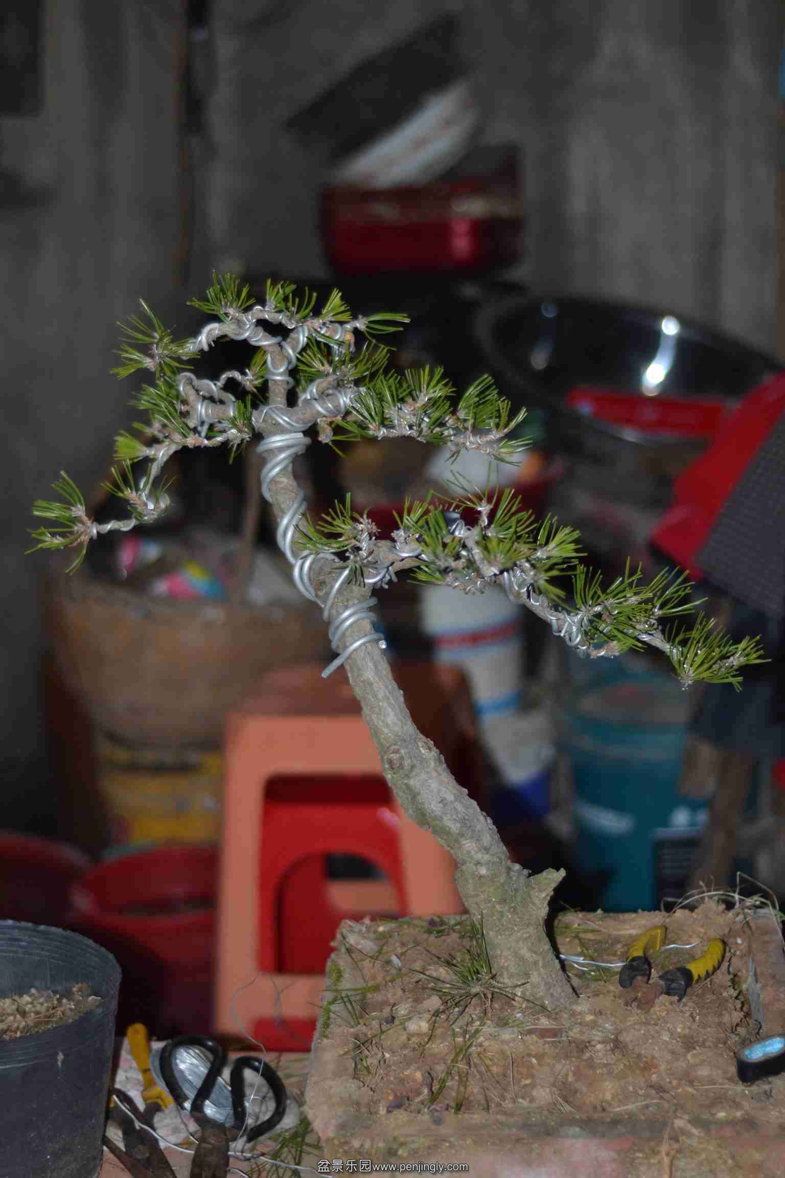 2014-01-13 006.jpg