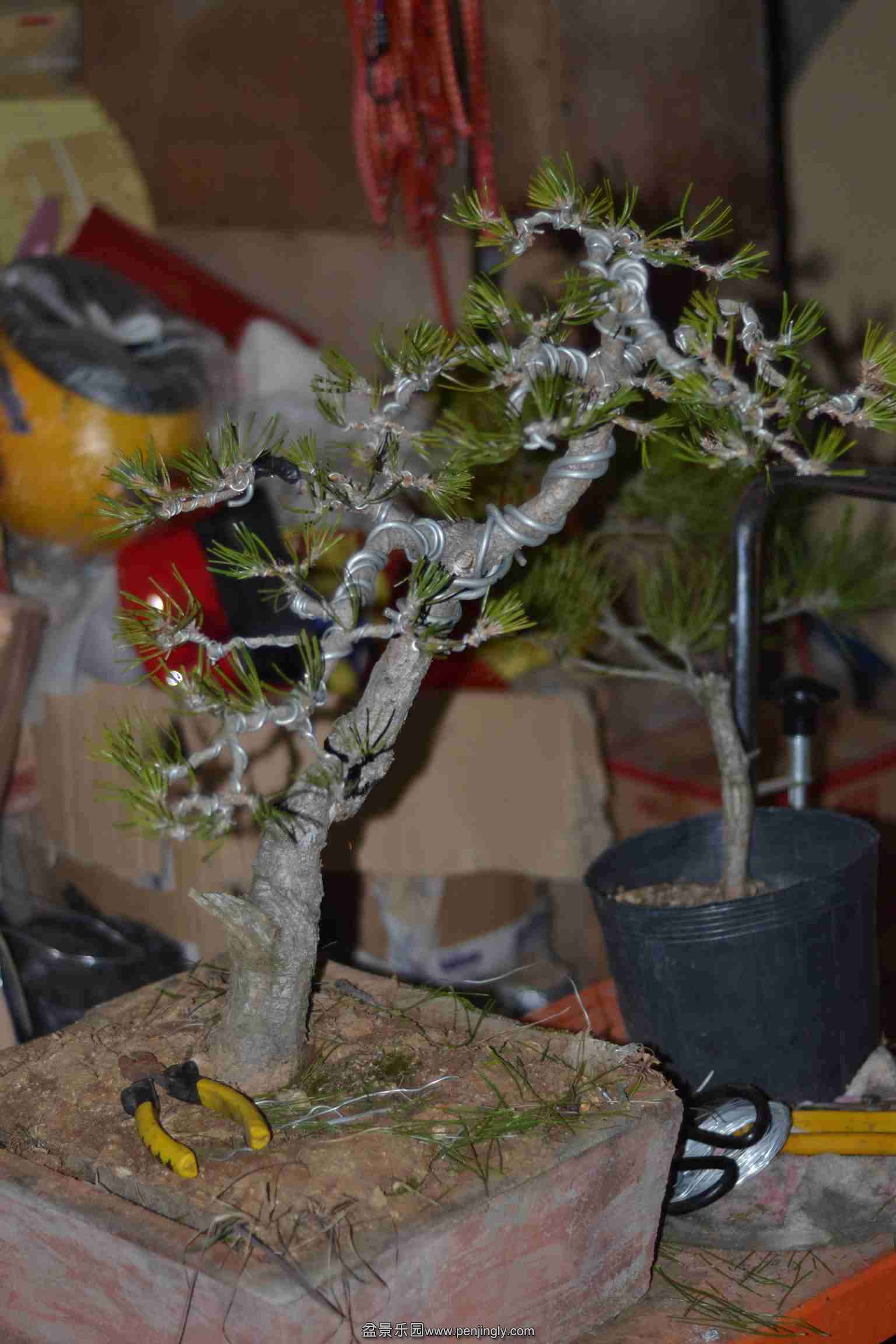 2014-01-13 009.jpg