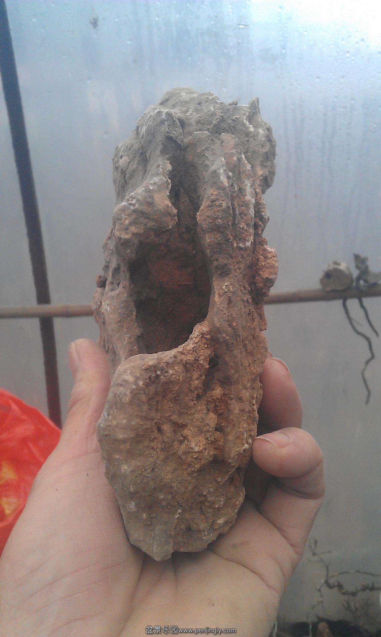 IMAG0754.jpg