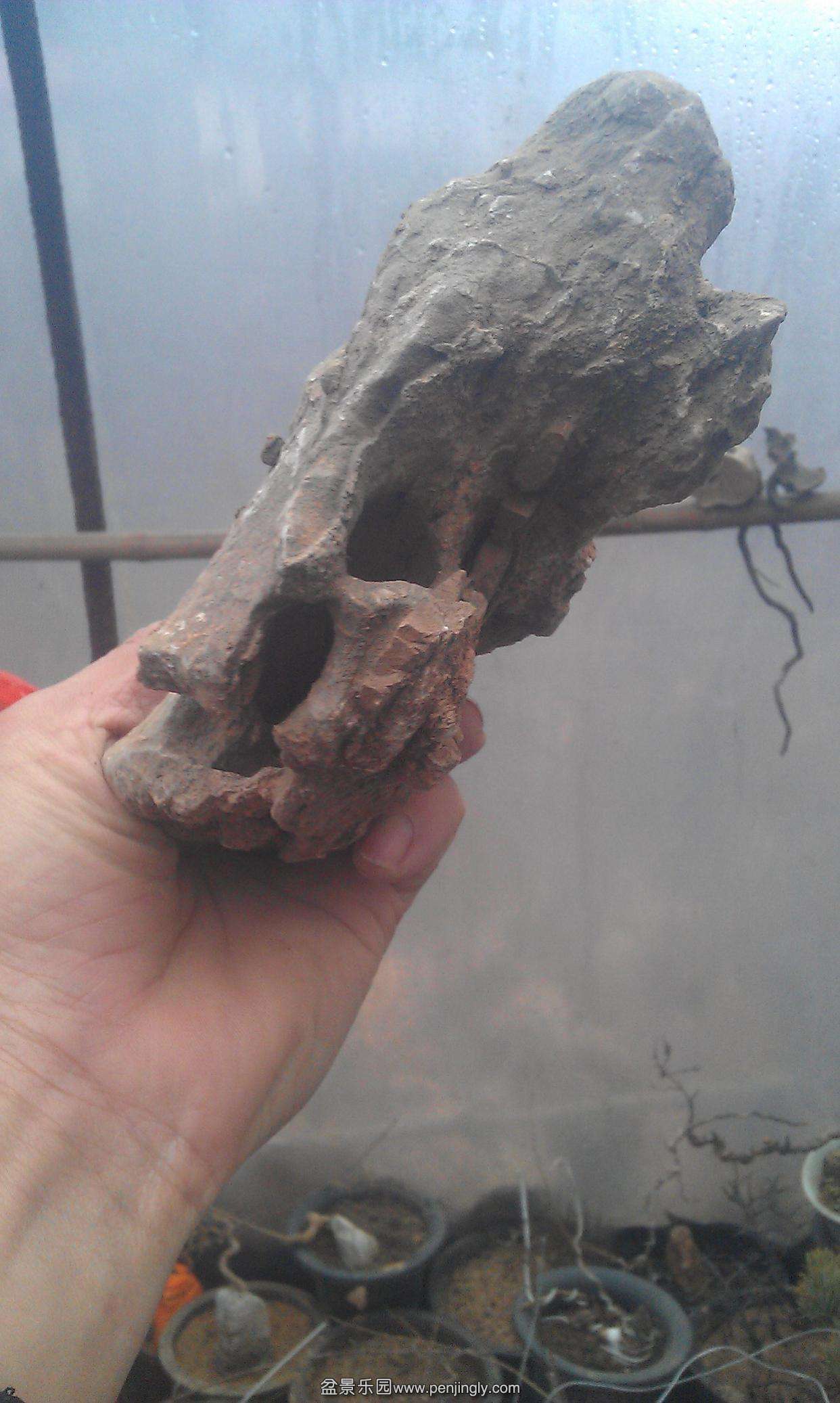 IMAG0755.jpg