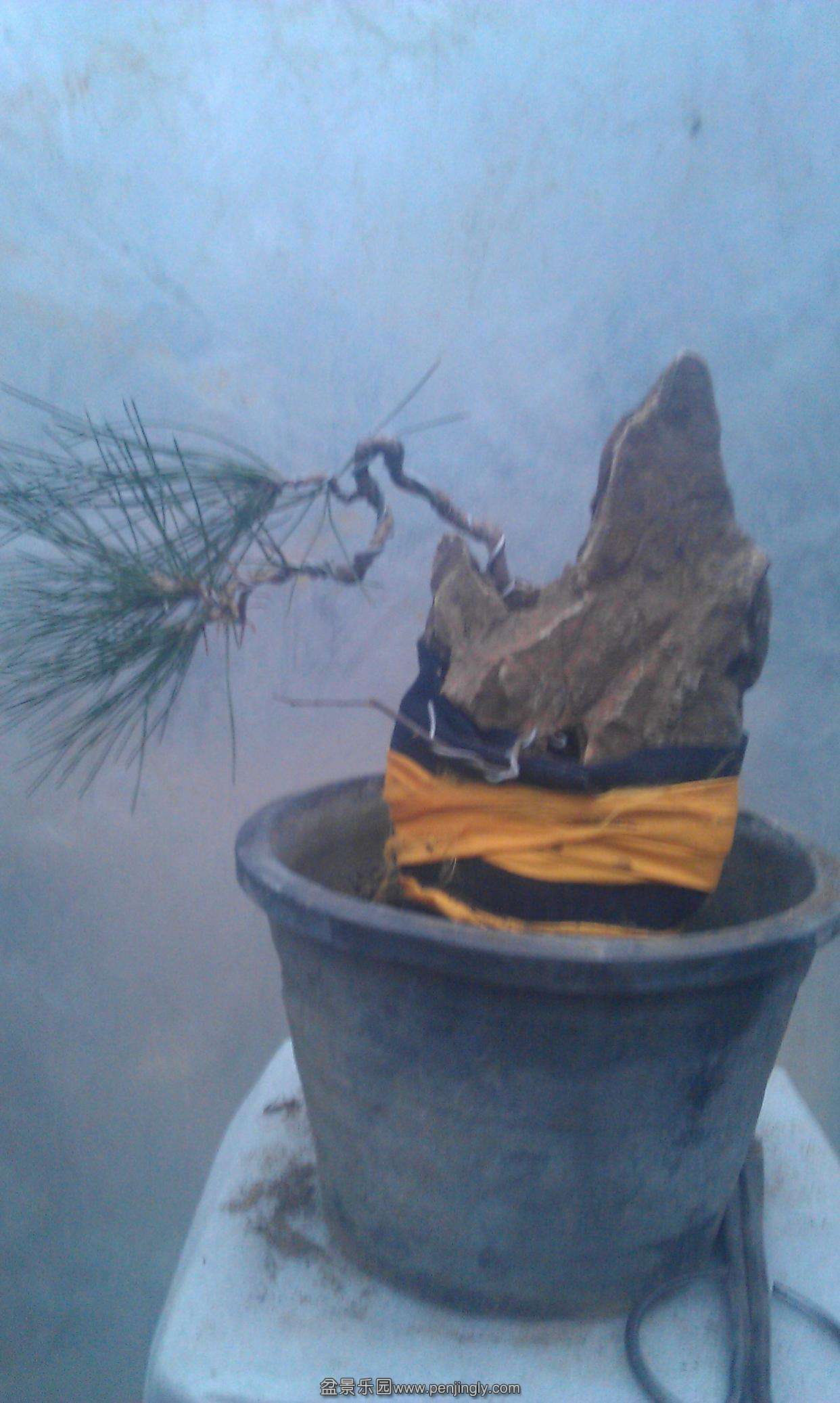 IMAG0759.jpg