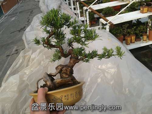 2014-01-13 14.37.35.jpg