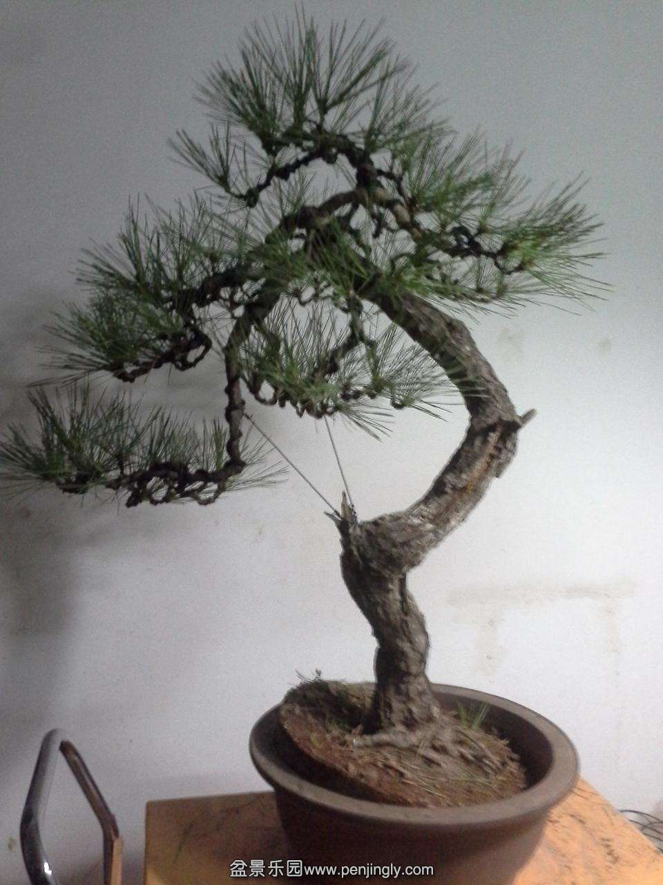 20140114_204157.jpg