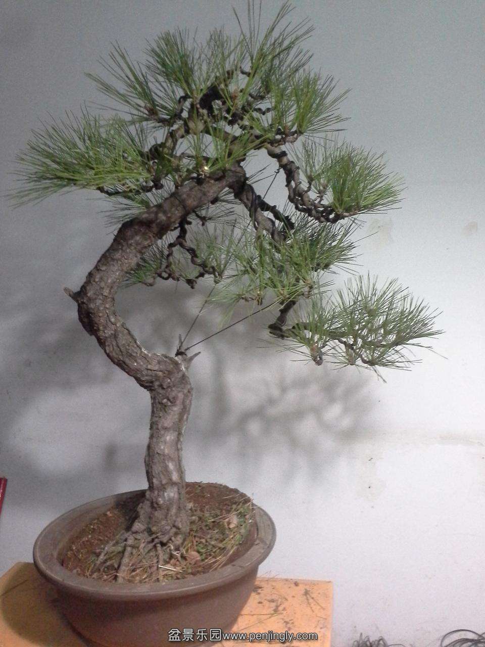 20140114_204101.jpg